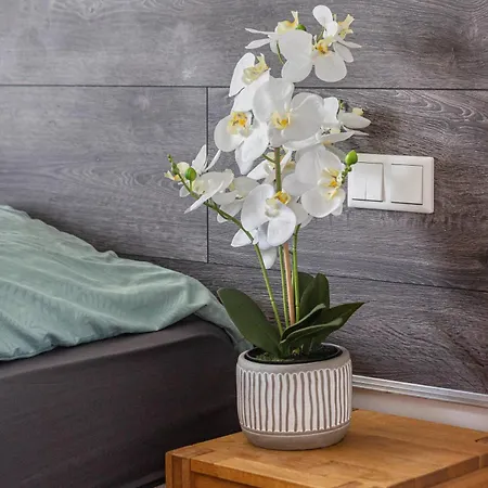 Apartment In Essen-city Essen
